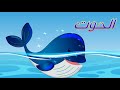 رسم و تلوين الحوت , رسمة ومعلومة بالعربي | Draw Whale for kids