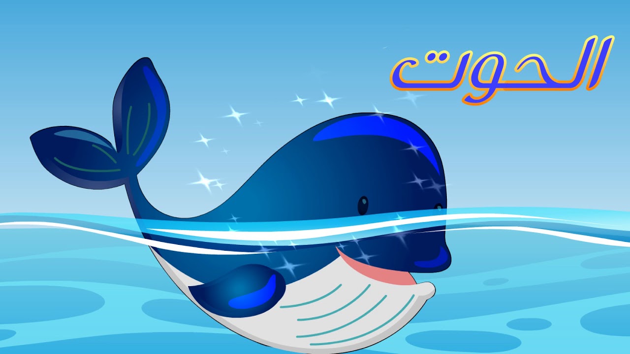 رسم و تلوين الحوت , رسمة ومعلومة بالعربي  Draw Whale for kids