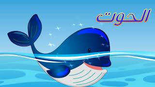 رسم و تلوين الحوت , رسمة ومعلومة بالعربي | Draw Whale for kids