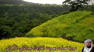 سورة فصلت بصوت القارئ/ عبدالولي الأركاني - Surat Fussilat