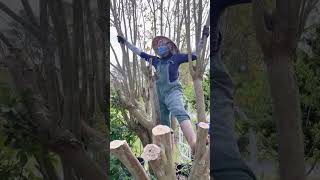 Pruning Crape Myrtle tree 🌳, so they live longer before they get 🤒. It’s mandatory to pruning it!