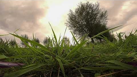 Yes, you can go too cheap on a stack // Jhemcu F7BT stack