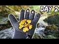 I Found A Patch Of GOLD Nuggets In Remote River!