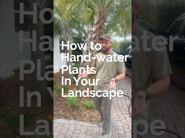 How to Hand-Water Plants In Your Landscape