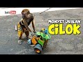 LUCU Topeng Monyet Jualan Cilok - Funny Monkey