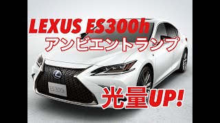 LEXUS ES300h LEDイルミネーションカスタム | LEDカスタムショップ