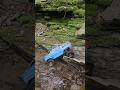 Axial SCX10 Basecamp forest creek crawl #RC #Hike #Outdoors #Adventure