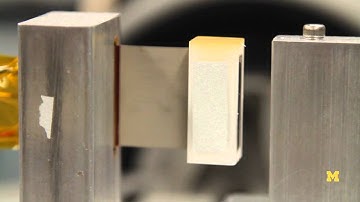 Harvesting the Heart