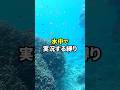 水中で実況する縛りでマリオ3プレイする人 #shorts