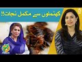 How to protect home from bedbugkhatmal infestations  home remidies  aaj pakistan