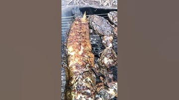 Cá lóc nướng thật tuyệt vời các chiến hữu ơi lụm thôi