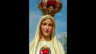 💖⚘️ Gracias Dulcísima Madre Celestial por tu presencia...💕🌹✨️☘️🌾🏡⚘️⚘️⚘️