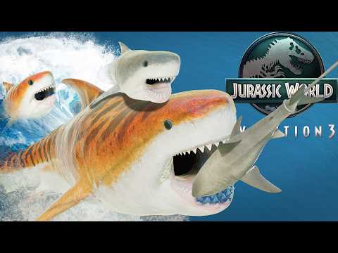 New Baby Megalodon Showcase: All Cute Animations & Battles - Jurassic World Evolution 3 Hd