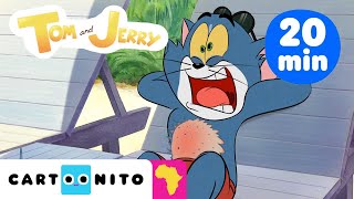 Tom & Jerry Hurry Hurry | Neighbourhood Mayhem Compilation #NEW Cartoon | Cartoonito Africa