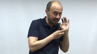 Anatomía Palpatoria Reparos Óseos De Mano.