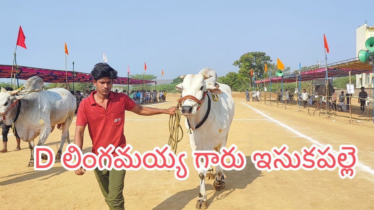 అహోబిలం  న్యూ కేటగిరి విభాగంలో 1వ జత D లింగమయ్య గారు