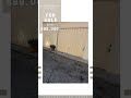 Residential Income Property
