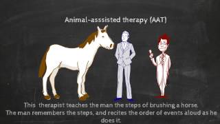 Animal-Assisted Intervention- Basic Terms