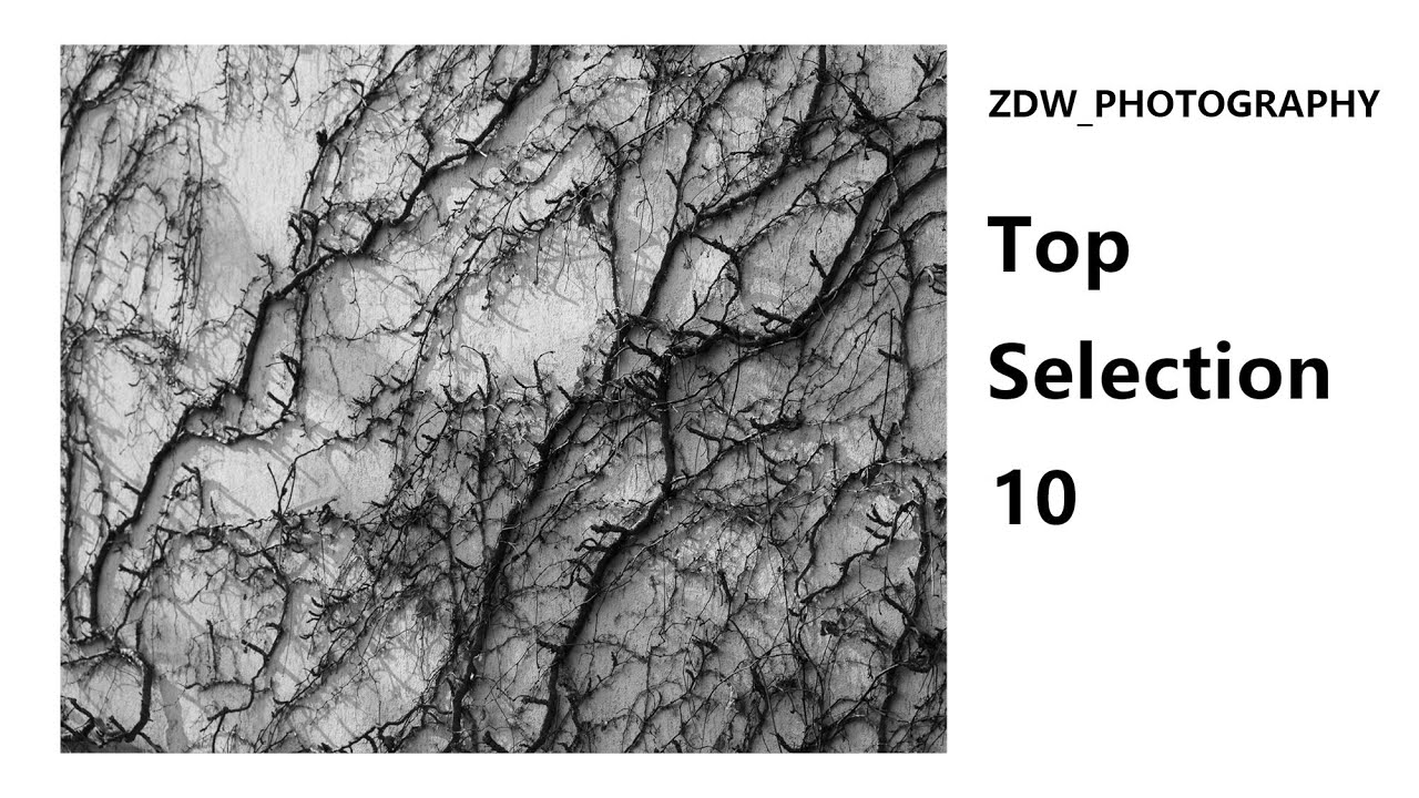 [ZDW] TOP SELECTION 10 | The Power of Empty Spaces