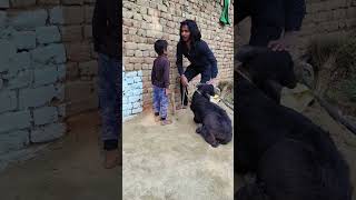 jindagi se jang 😭 #shorts #short...