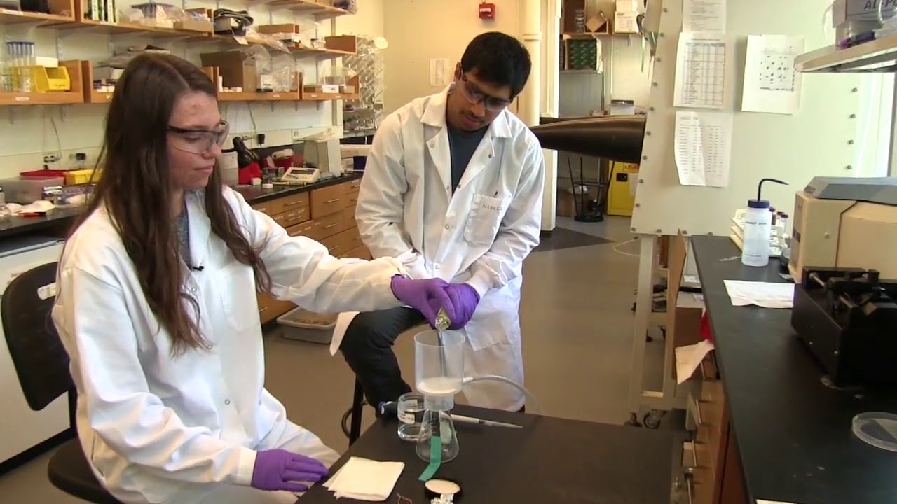 Testing Perovskite Materials for Solar Cells - YouTube