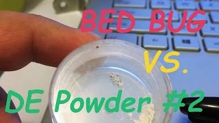 SAVE YOUR BED BUG MATTRESS WITH DIATOMACEOUS EARTH (DE) ELIMINATE BED BUGS THE RIGHT WAY