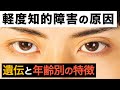 軽度知的障害【※遺伝や特徴について】