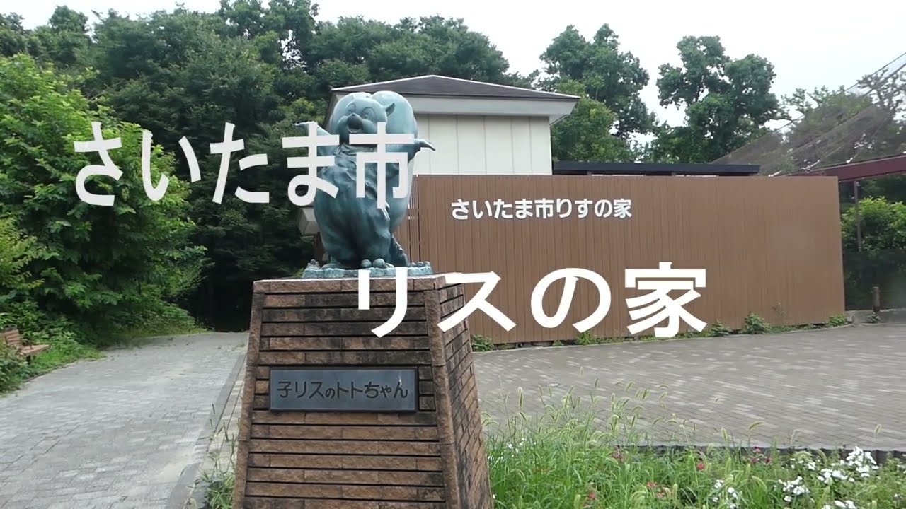さいたま市りすの家 - YouTube