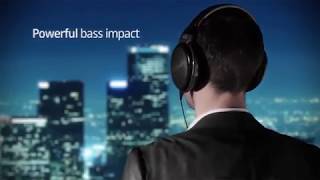 Sennheiser HD 650 Open Back Professional Headphone