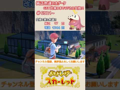 純正色違いホゲータGET出来るまでマジカル交換！！#6321~【ポケモンSV/pokemon】#shorts