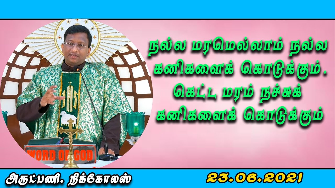 நல்ல மரம் நல்ல  கனிகளைக் கொடுக்கும்.கெட்ட மரம் நச்சுக் கனிகளைக் கொடுக்கும் | திருப்பலி | 23.06.2021