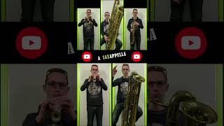 Contrabass Saxophone - Subcontrabass Saxophone - Soprillo