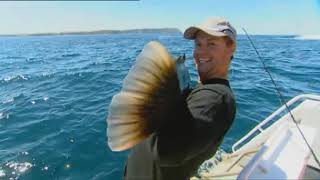 IFISHTV Blue Groper & Kingfish Wedge Island South Australia