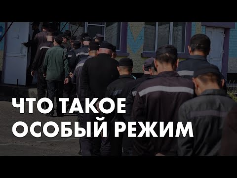 19 лет особого режима Навальному. Что это за условия? Объясняет глава «Руси Сидящей» Ольга Романова