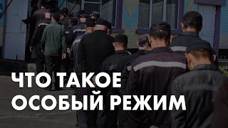 19 лет особого режима Навальному. Что это за условия? Объясняет глава «Руси Сидящей» Ольга Романова