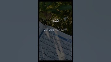 ارح قلبك❤️🎧#تلاوة_خاشعة #قرآن #آيات #ياسر_الدوسري #يوم_الجمعة #quran #راحة_نفسية #اكسبلور #لايك