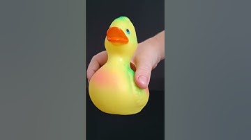 Thumbnail of Squeaky toy Duck sounds for Dogs  #soundsdogslove  #funny #dogsound