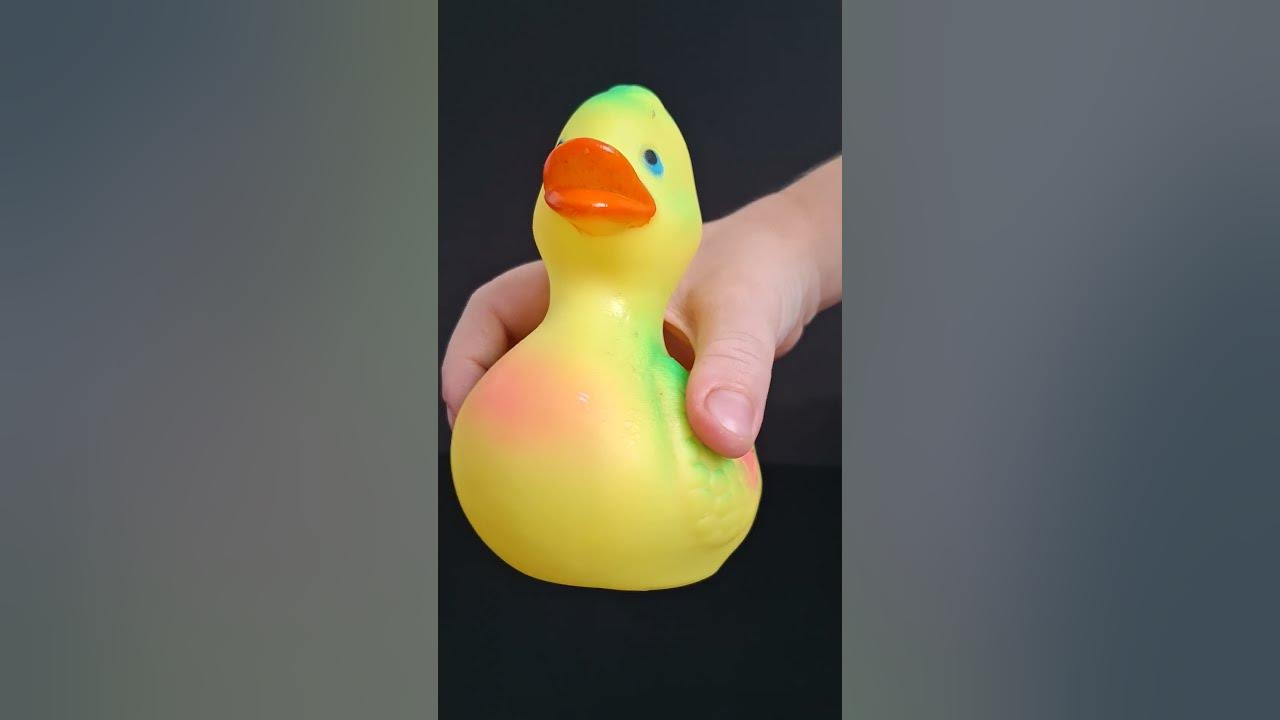 Squeaky toy Duck sounds for Dogs  #soundsdogslove  #funny #dogsound