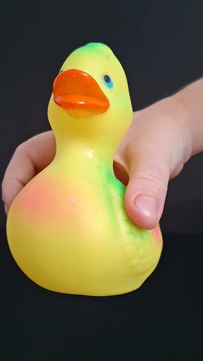 Squeaky toy Duck sounds for Dogs #soundsdogslove #funny #dogsound
