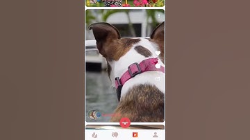 Show the real you by Videos - Dating App allows Video Sharing - Share Video - Dating App Uses AR