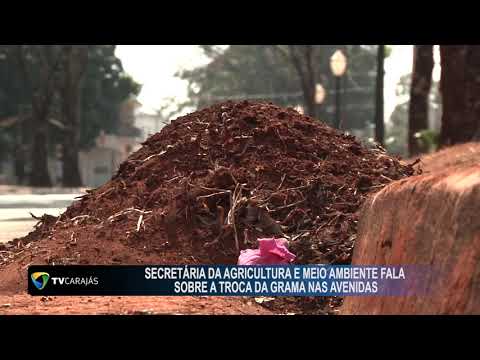 Secretaria da agricultura e Meio Ambiente fala sobre a troca de grama nas avenidas