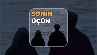 Penceremi̇n Önünde Gül