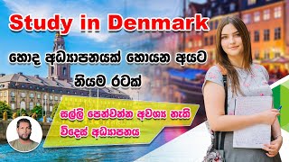 Denmark Higher education system | University study in Denmark | Studying in Denmark |  SL TO UK