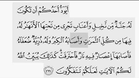 حفظ سورة البقرة ايه ( ٢٦٦  ) للقارىء أيمن سويد بروايه حفص عن عاصم