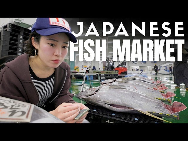 What a Day at a Japanese Fish Market Auction is like
