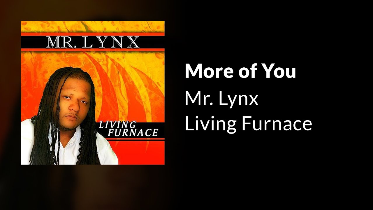 More of You - Mr. Lynx