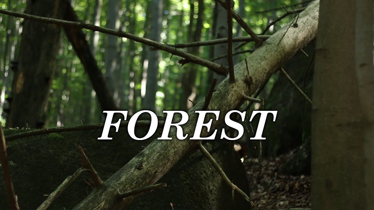 Forest Short Film Canon 70D YouTube