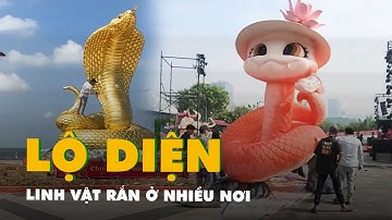 Linh vật rắn dần lộ diện ở nhiều nơi, sẵn sàng đón Tết Ất Tỵ