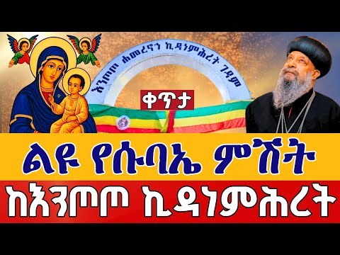 Live ምሕላና ጉባኤ ፍልሰታ ነሐሴ 5 ቀጥታ ከሐመረ ኖኅ እንጦጦ ቅድስት ኪዳነምሕረት Live From Entoto Kidanemihiret Aug 11