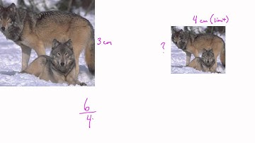 WAM 10 6 1  Similar Polygons